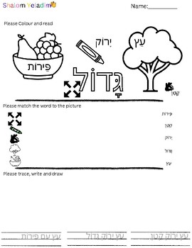 Big/small tree & fruits for Tu Bishvat Hebrew Vocabulary by Worksheets ...