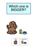 Big vs Small- Adapted Book for Autism