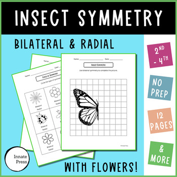 Preview of Bilateral and Radial Symmetry in Nature Worksheets - Insects and Flowers