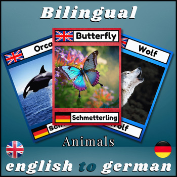 Preview of Bilingual All Animals Flash cards ( birds,reptiles,insects,sea&forest animals ).