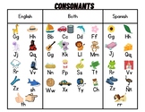 Bilingual Alphabet Chart/Bilingual Sound Wall Spanish and English
