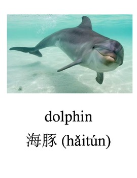 Bilingual Animals (Aquatic Animals) English and Simplified Chinese PDF