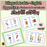 Bilingual Arabic-English opposites flash cards & worksheet