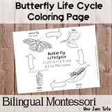 Bilingual Butterfly Life Cycle Coloring Page English-Spanish