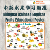 Bilingual Educational Poster -Fruits (Simplified Chinese/English)