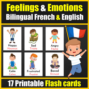 Bilingual (English / French) Feelings & Emotions Vocabulary Flash cards ...