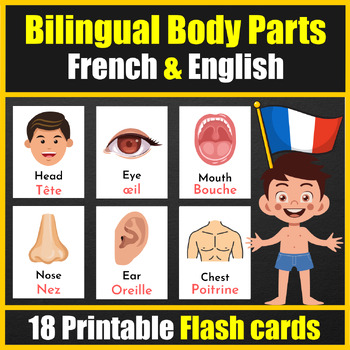 Bilingual (English / French) human body parts Vocabulary Flash cards en ...
