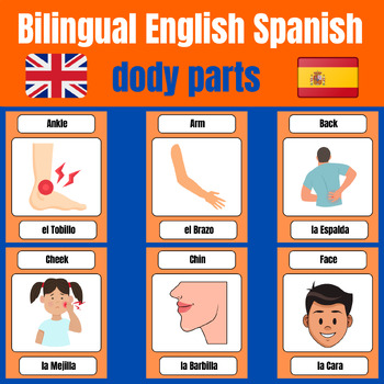 Bilingual English Spanish dody parts Flashcards by Saadia Emporium