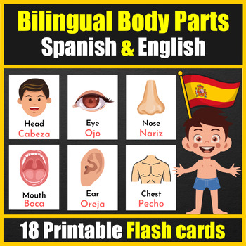 Bilingual (English / Spanish) human body parts Vocabulary Flash cards ...