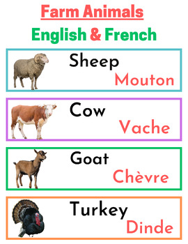 Farm animals in French – vocabulary 27 