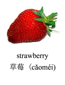 Preview of Bilingual Fruits English and Simplified Chinese PDF