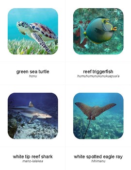 Preview of Bilingual Hawaiian Sea Life 3 Part Cards