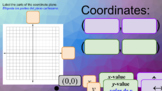 Bilingual - Interactive Graphing Coordinate Points Activity