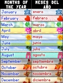 Bilingual Months of the Year Poster – Spanish and English