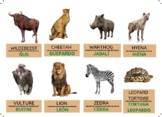 Bilingual Safari Animals