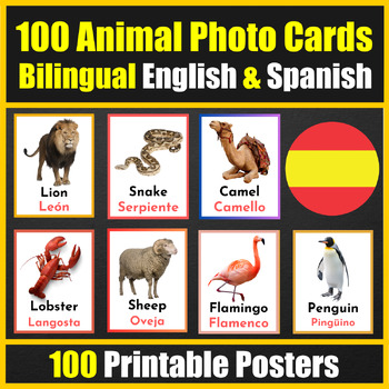 Preview of Bilingual (Spanish / English) 100 Animal Vocabulary Flashcards with real Photos