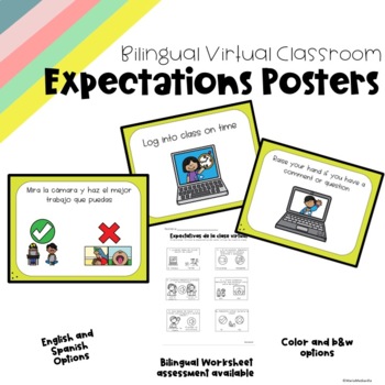 Preview of Virtual Classroom Expectations for Students