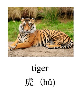 Preview of Bilingual Animals (Chinese Zodiac) English and Simplified Chinese PDF