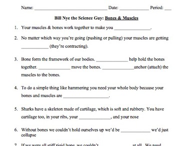 muscles worksheet bones nye bill montana