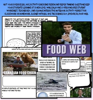 Preview of Bill Nye food web food chain ecology worksheet key interactive notebook jr high