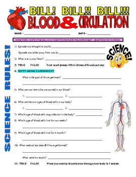 Preview of Bill Nye the Science Guy : BLOOD & CIRCULATION (human body video sheet / sub)