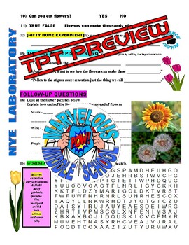 Bill Nye The Science Guy Flowers Plants Video Worksheet Tpt