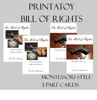 Preview of Bill Of Rights 3 Part Nomenclature Cards