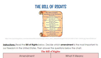 Preview of Bill of Rights Analysis