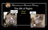 Bill of Rights Lesson Bundle