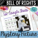 Bill of Rights Mystery Picture Reveal Review Activity