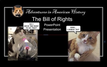 Preview of Bill of Rights PowerPoint