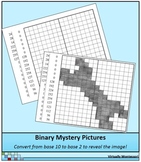 Binary Numbers Mystery Pictures