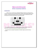 Binary numbers/Pixels/Problem solving worksheet