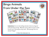 Bingo Animals from Under the Sea (Spanish Bingo Set)
