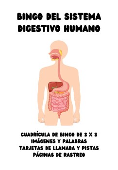Preview of Bingo del sistema digestivo humano con imagenes 10 cartillas paginas de rastreo