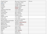 Binomial Nomenclature