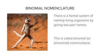 Preview of Binomial Nomenclature: Latin in Scientific Terminology
