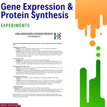 Preview of BioLab Explorer: Gene Expression & Protein Synthesis Home Experiment