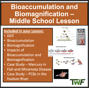 Preview of Bioaccumulation and Biomagnification - Ecology & Ecosystems Middle School Lesson
