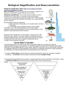 Preview of Bioaccumulation and Biomagnification Worksheet