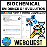 Biochemical Evidence of Evolution Webquest