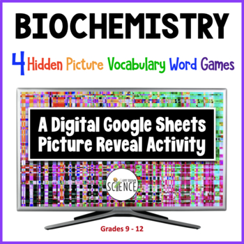 Preview of Biochemistry Macromolecules 4 Google Sheets Hidden Picture Games