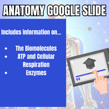 Preview of Biochemistry Anatomy Google Slides Lecture Lesson