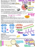 Biochemistry: Macromolecules, Enzymes, Digestion, Nutritio