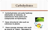 Biochemistry {Carbohydrates Lab}