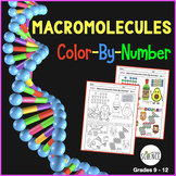 Biochemistry Macromolecules Color by Number