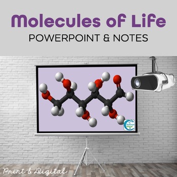 Preview of Biochemistry PowerPoint and Notes - PowerPoint and Google Slides