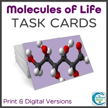 Preview of Biochemistry Task Cards Activity for Biology