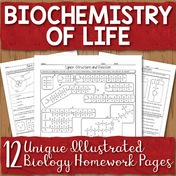 Preview of Biochemistry Unit Homework Page Bundle