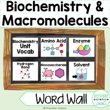 Preview of Biochemistry, Water, Macromolecules Word Wall and Vocabulary ELL ESL